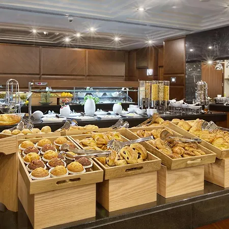 酒店 伊斯坦布尔阿弗希拉尔希尔顿逸林酒店 伊斯坦布尔